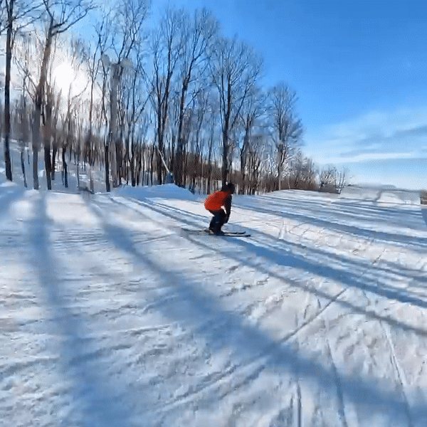 1008914.gif 1008914.gif