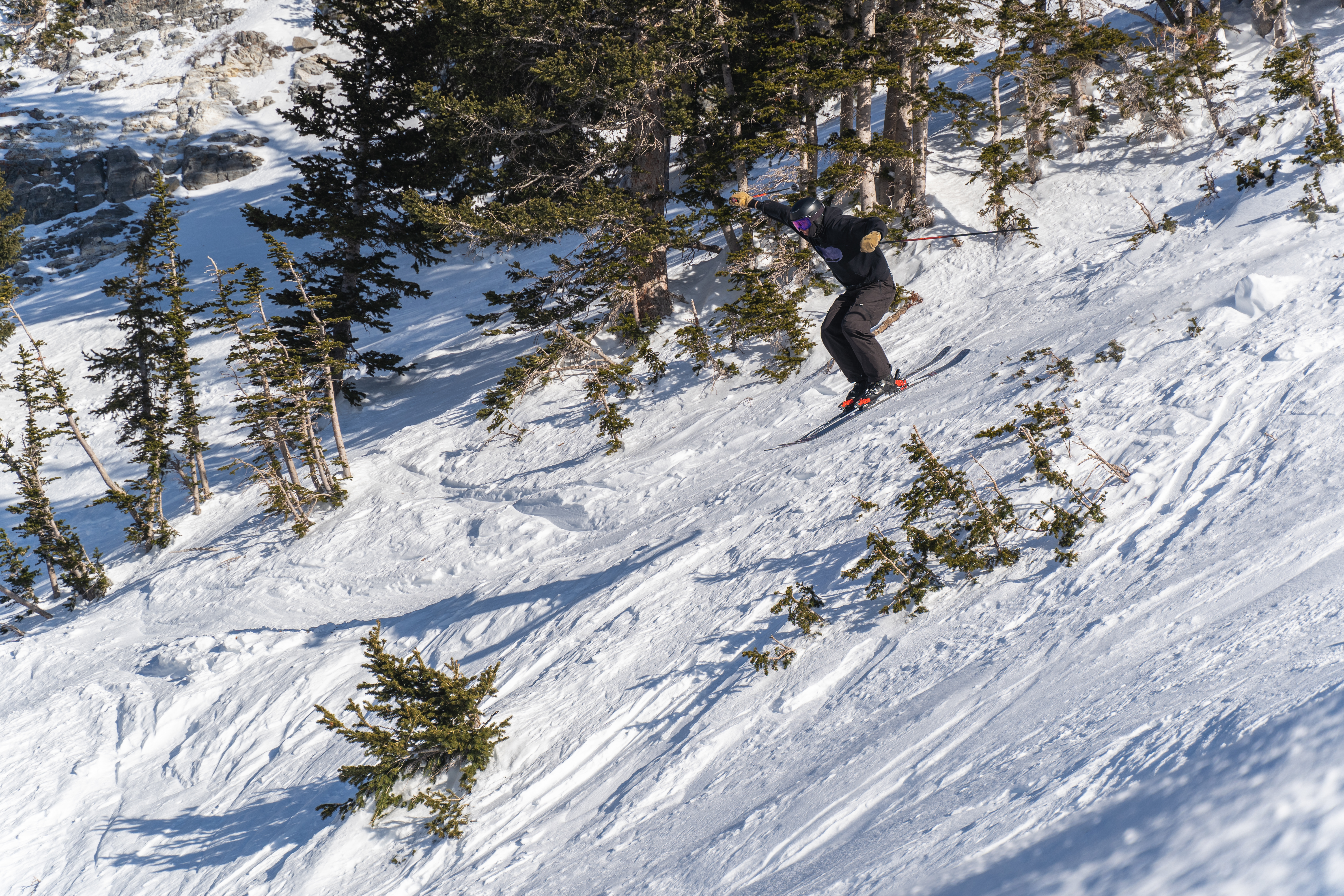 1031372.jpeg 1031372.jpeg