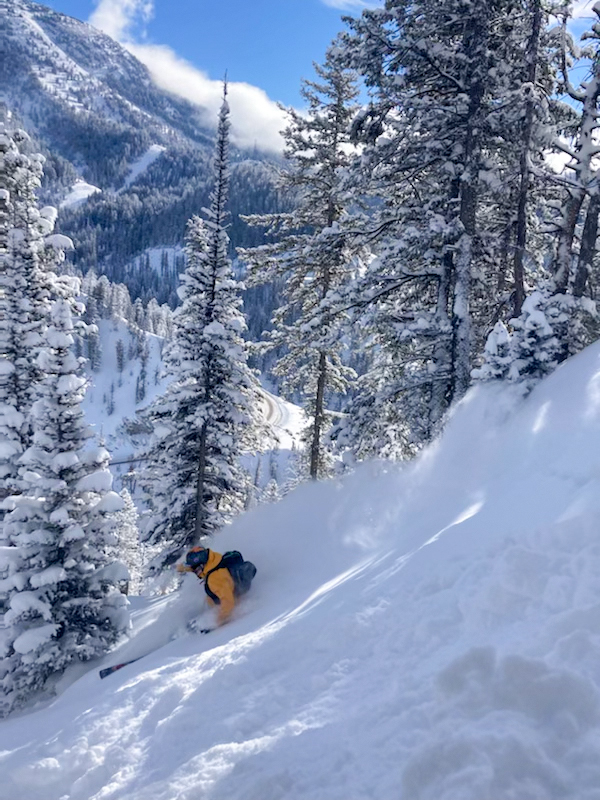 1039091.jpeg 1039091.jpeg