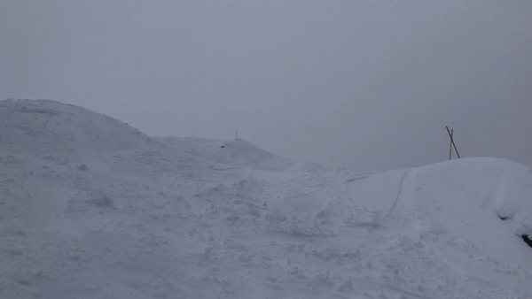 1060187.gif 1060187.gif