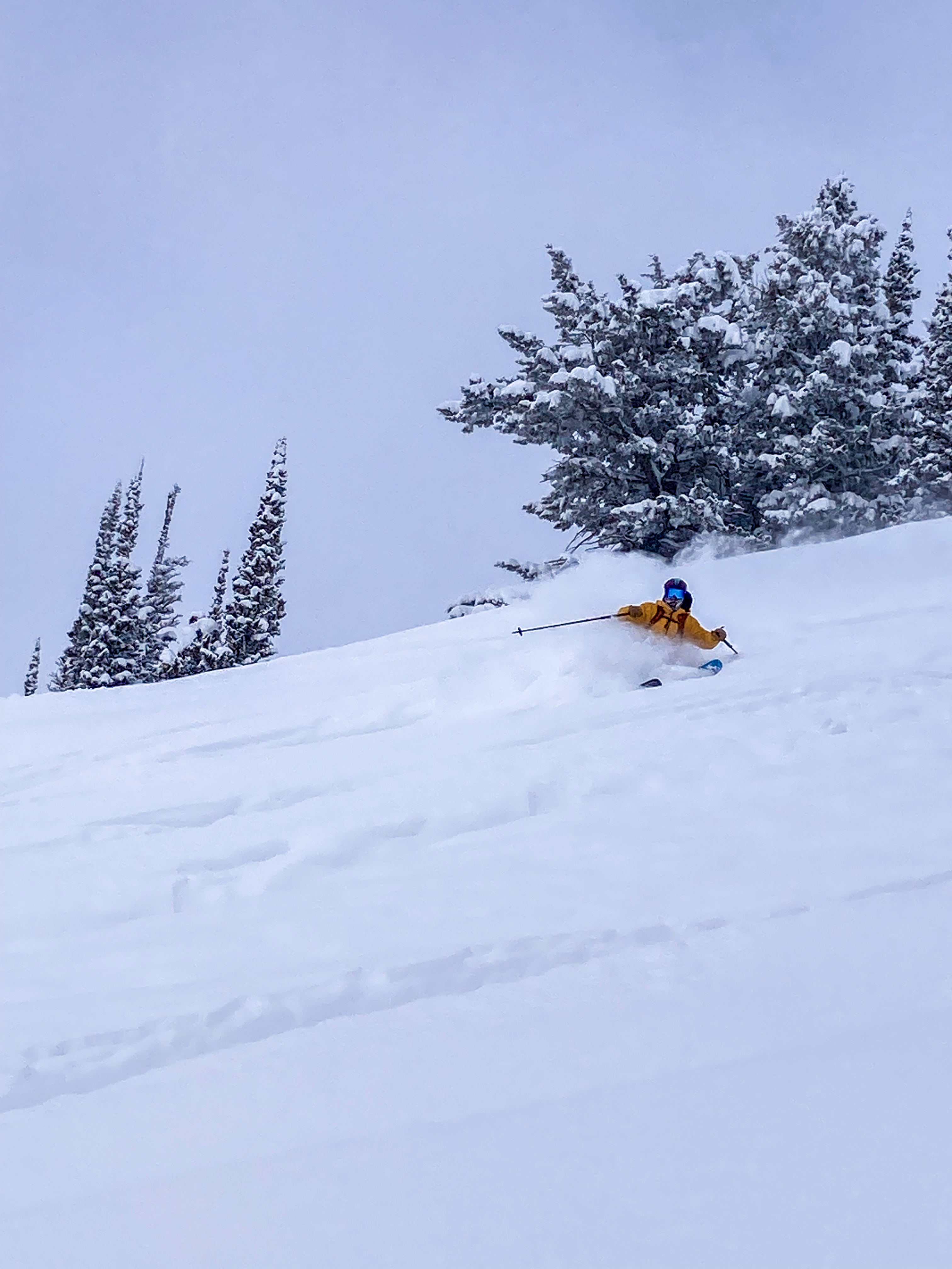 1064295.jpeg 1064295.jpeg