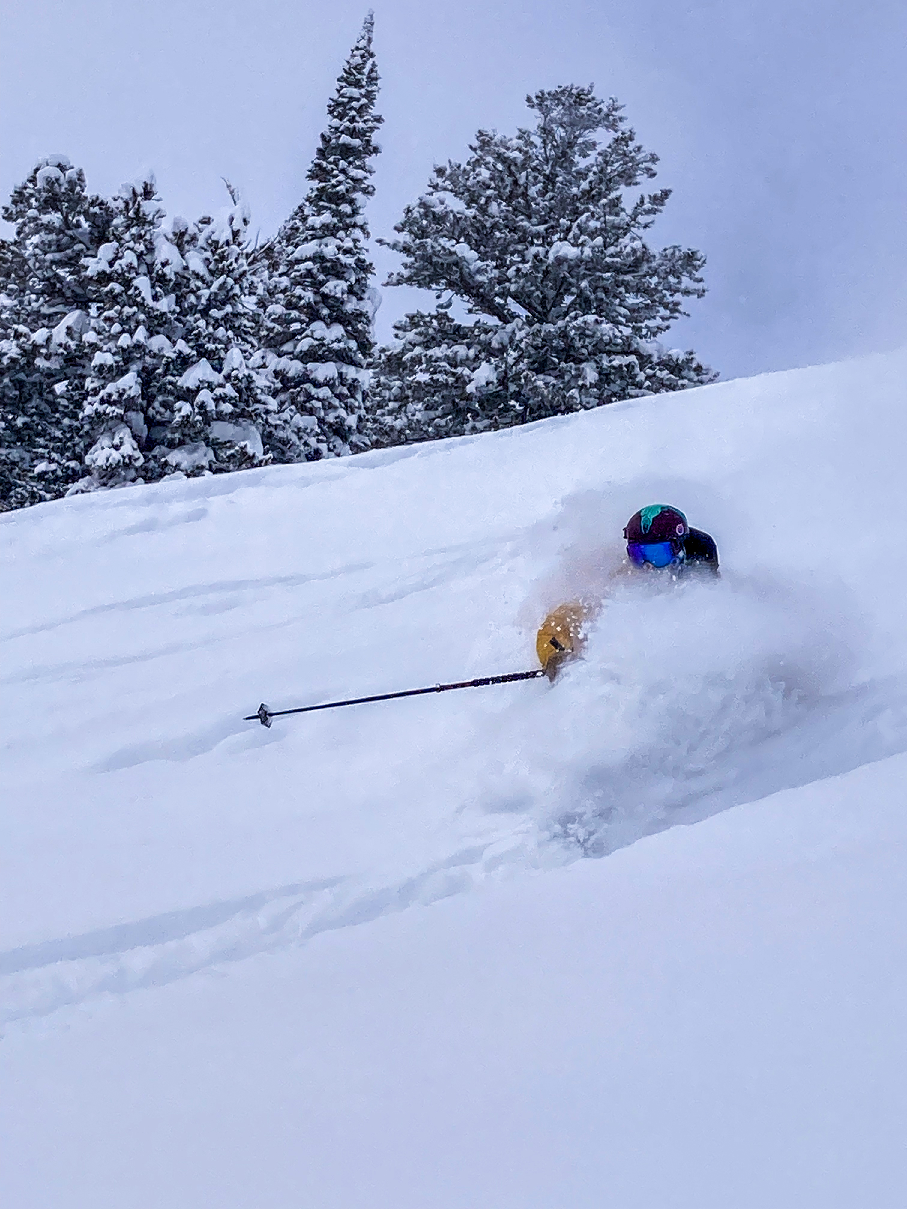 1064297.jpeg 1064297.jpeg