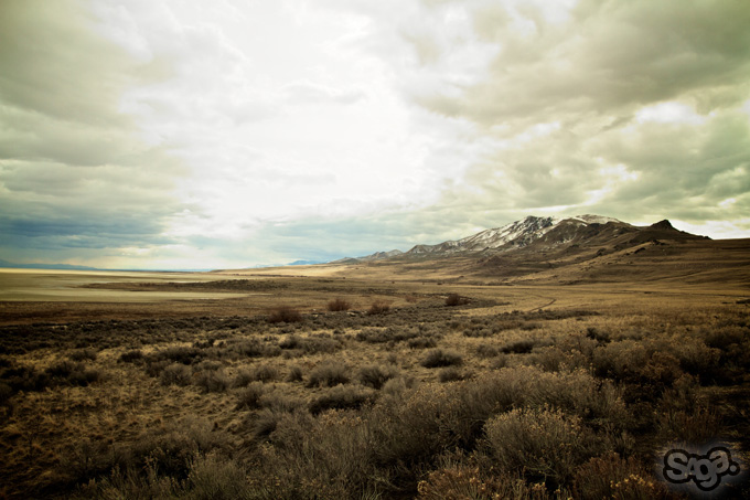 32609.jpeg 32609.jpeg