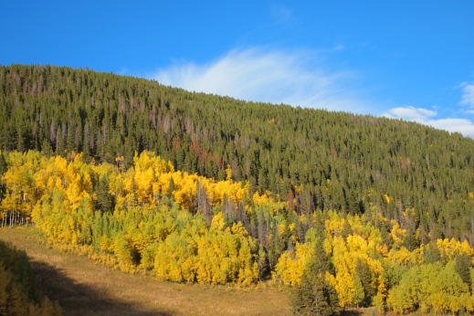 354060.jpeg 354060.jpeg