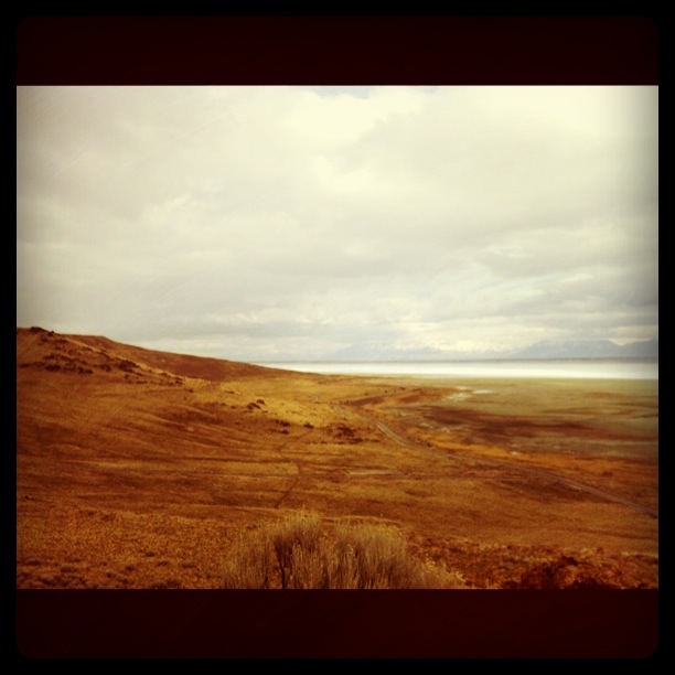 35972.jpeg 35972.jpeg