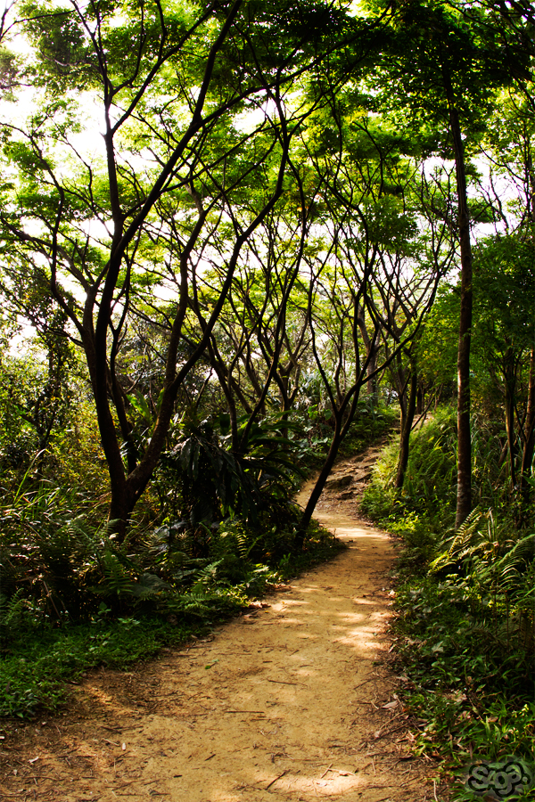 36798.jpeg 36798.jpeg