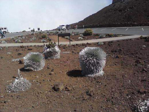 375837.jpeg 375837.jpeg