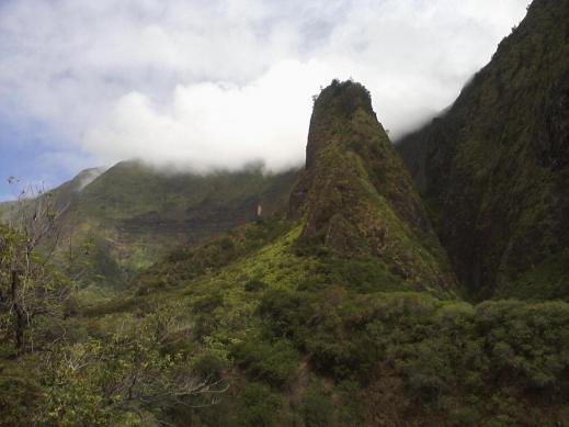 375838.jpeg 375838.jpeg