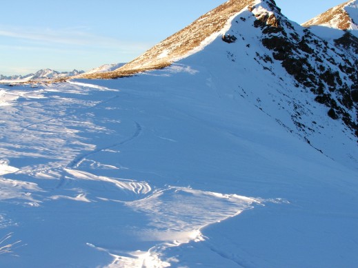 392999.jpeg 392999.jpeg