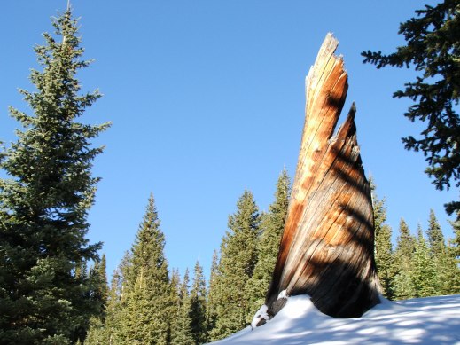 393000.jpeg 393000.jpeg