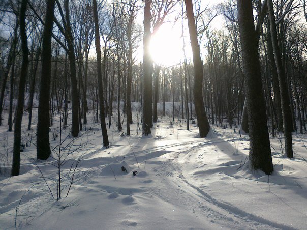 39659.jpeg 39659.jpeg