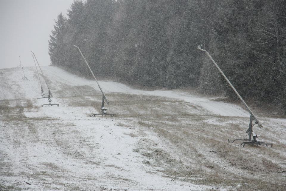 397395.jpeg 397395.jpeg