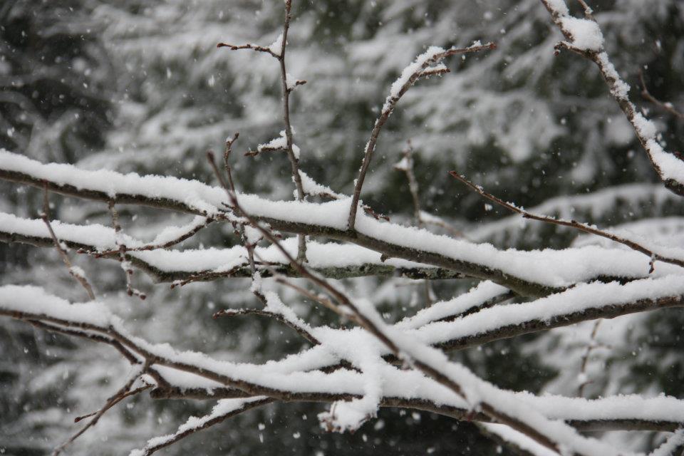 397396.jpeg 397396.jpeg