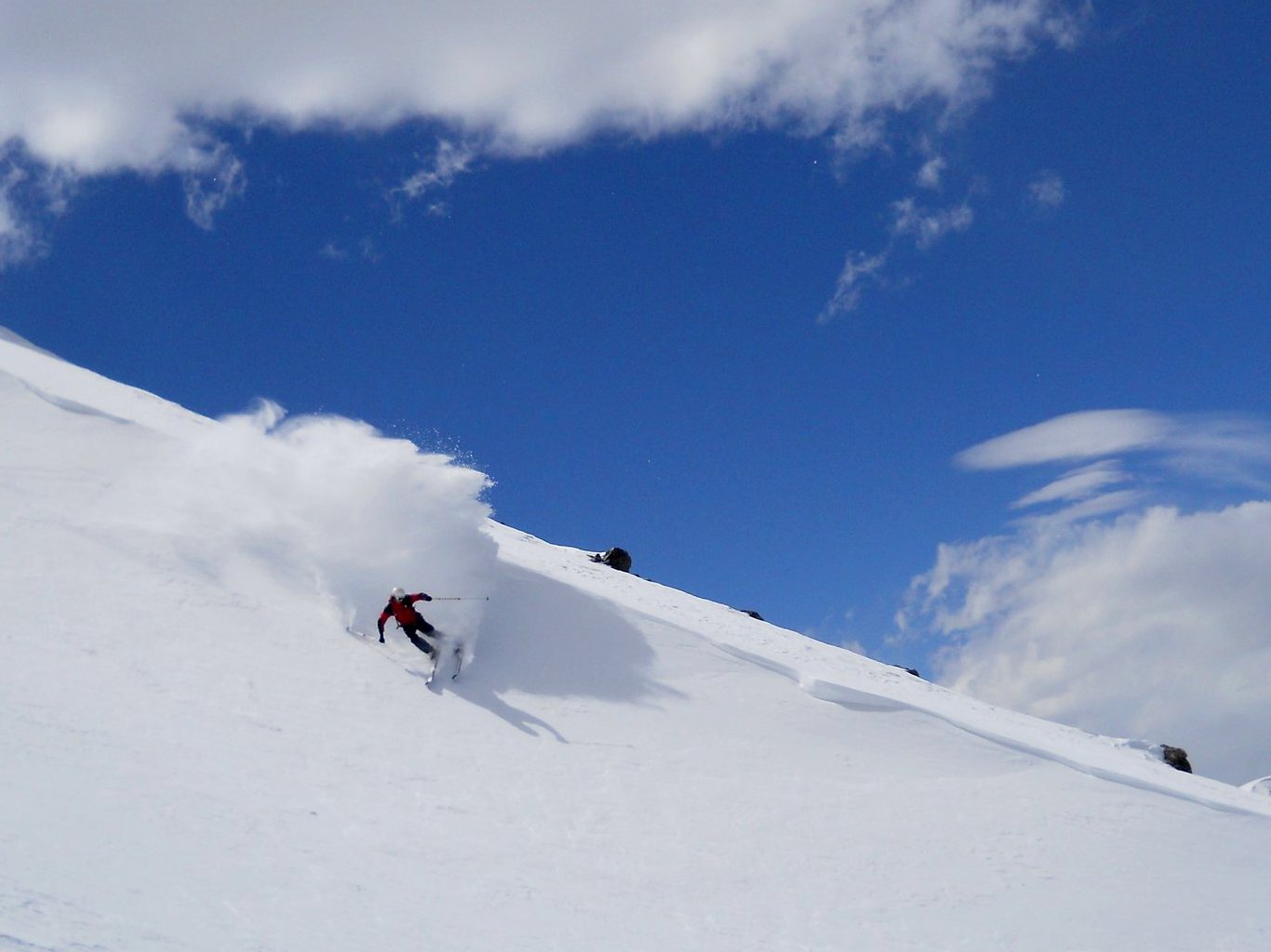 39745.jpeg 39745.jpeg