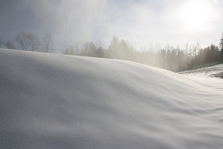 397681.jpeg 397681.jpeg