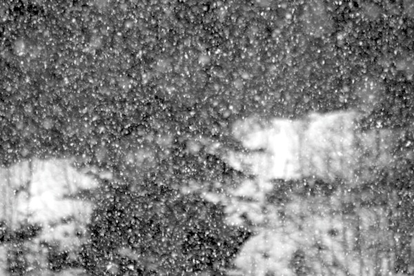 400275.jpeg 400275.jpeg