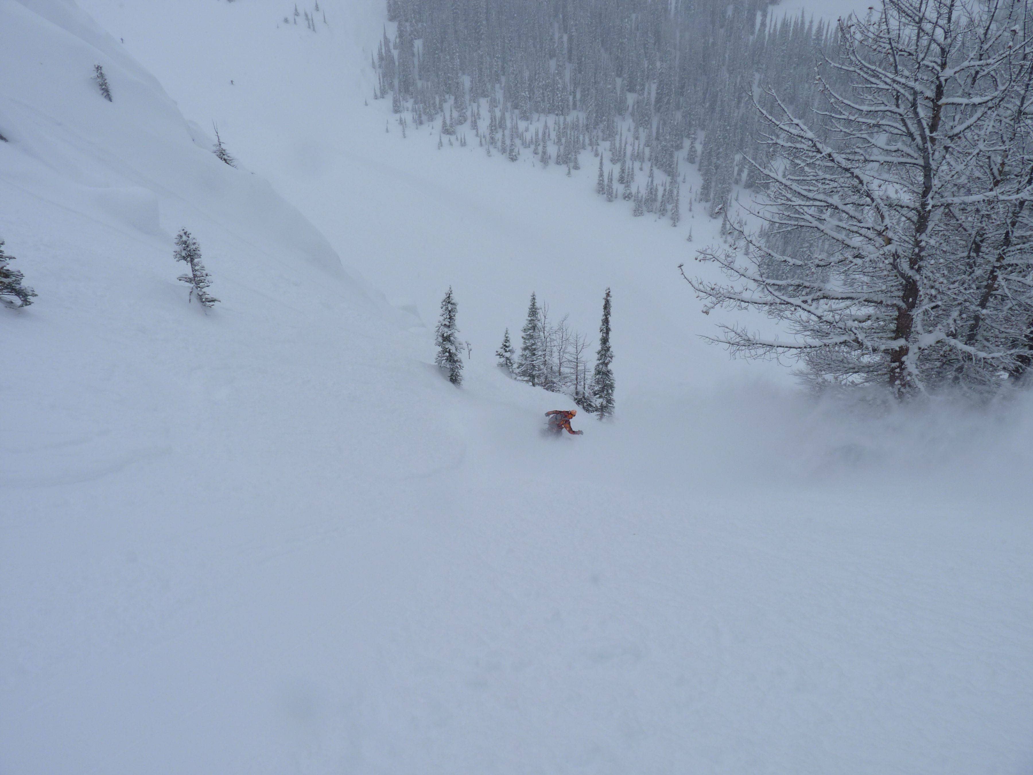 40064.jpeg 40064.jpeg