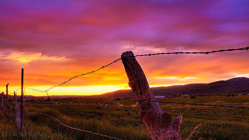 40131.jpeg 40131.jpeg