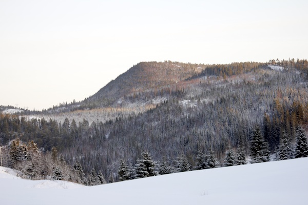 402210.jpeg 402210.jpeg