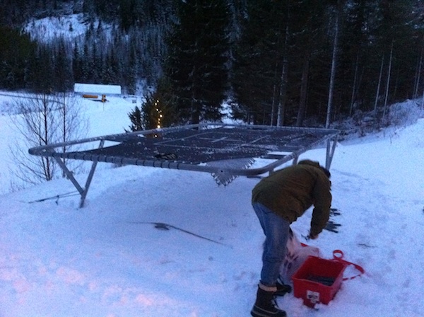 403163.jpeg 403163.jpeg