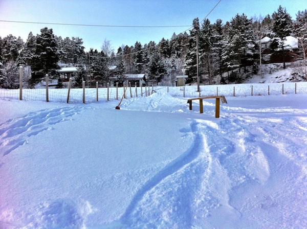 403164.jpeg 403164.jpeg