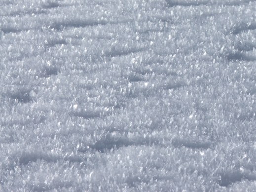 406868.jpeg 406868.jpeg