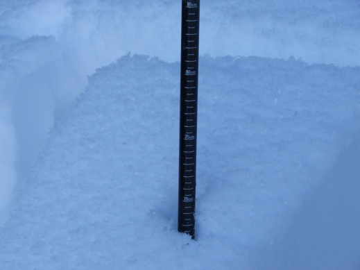 406870.jpeg 406870.jpeg