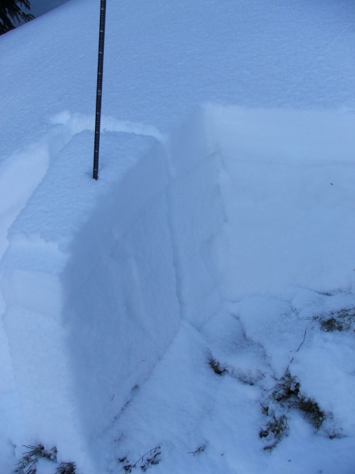 406871.jpeg 406871.jpeg