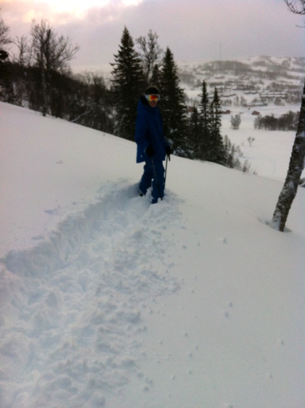 406991.jpeg 406991.jpeg