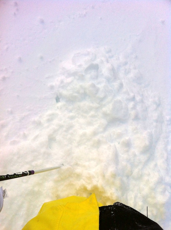 406992.jpeg 406992.jpeg