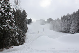 411414.jpeg 411414.jpeg