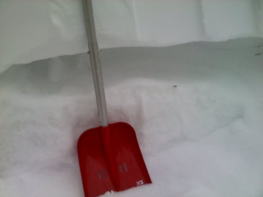 412105.jpeg 412105.jpeg