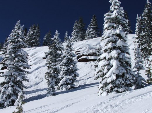 412571.jpeg 412571.jpeg