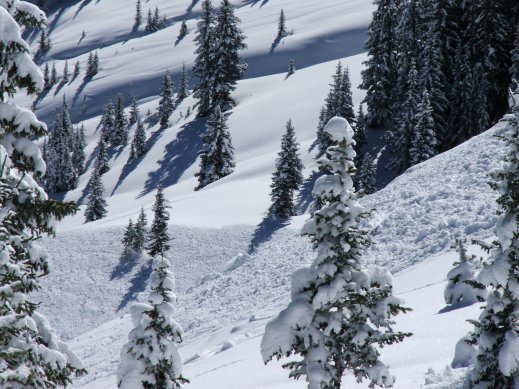 412573.jpeg 412573.jpeg