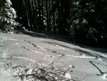 412576.jpeg 412576.jpeg