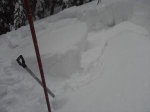 413320.jpeg 413320.jpeg