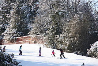 415238.jpeg 415238.jpeg