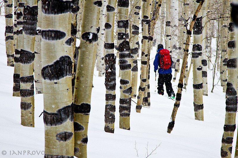 418093.jpeg 418093.jpeg