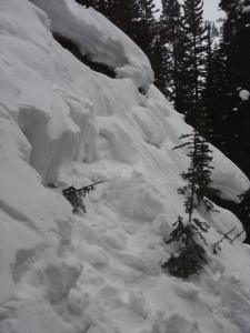 420770.jpeg 420770.jpeg