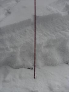 420771.jpeg 420771.jpeg