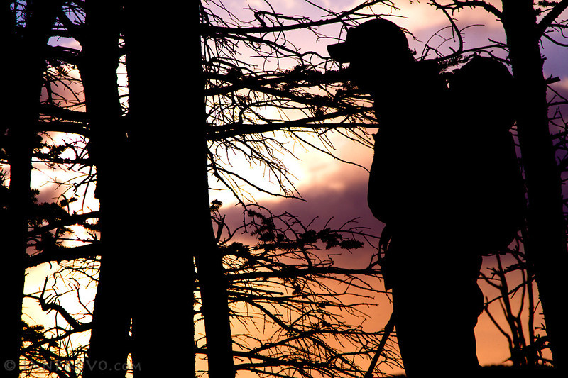 422087.jpeg 422087.jpeg