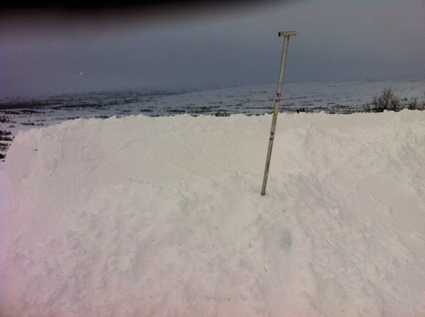 425555.jpeg 425555.jpeg