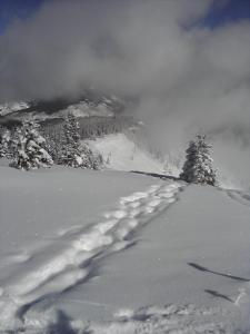 425833.jpeg 425833.jpeg