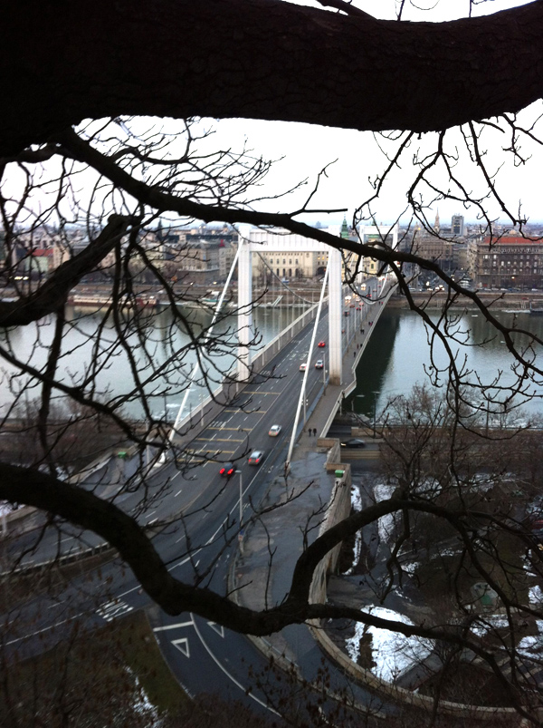 426438.jpeg 426438.jpeg