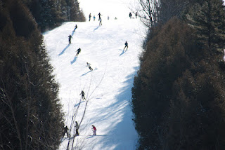 426772.jpeg 426772.jpeg