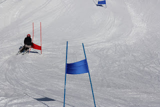 426781.jpeg 426781.jpeg