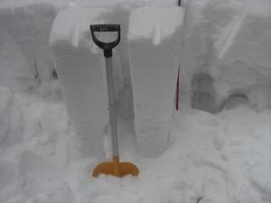 426978.jpeg 426978.jpeg