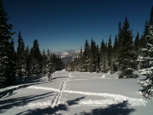 430180.jpeg 430180.jpeg