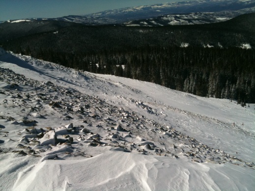 430181.jpeg 430181.jpeg