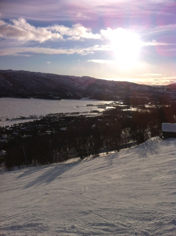 430313.jpeg 430313.jpeg